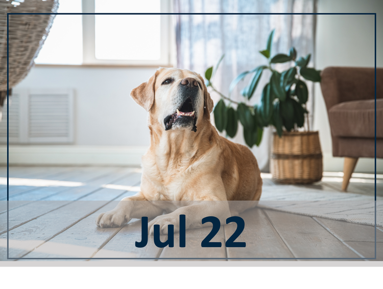 The Real Life Approach to Osteoarthritis Management: A Case-Based Discussion July 22 header 