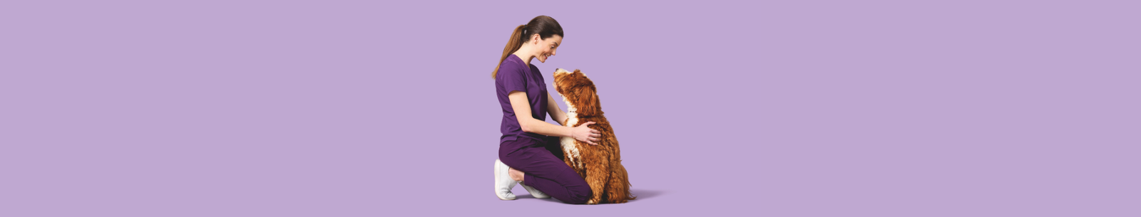 A woman and a dog sitting down and looking at each other