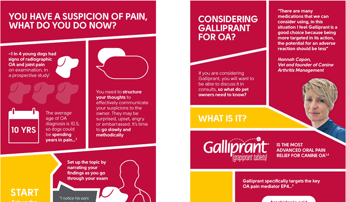 Infographic - Explaining pain and explaining Galliprant