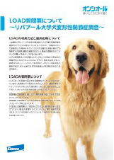 調査票説明シート