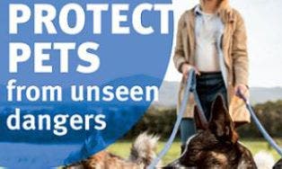 Protect pets from unseen dangers