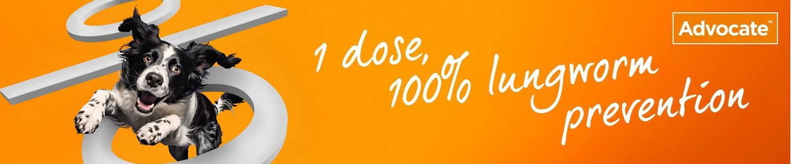 Dog with 1 dose, 100% lungworm prevention