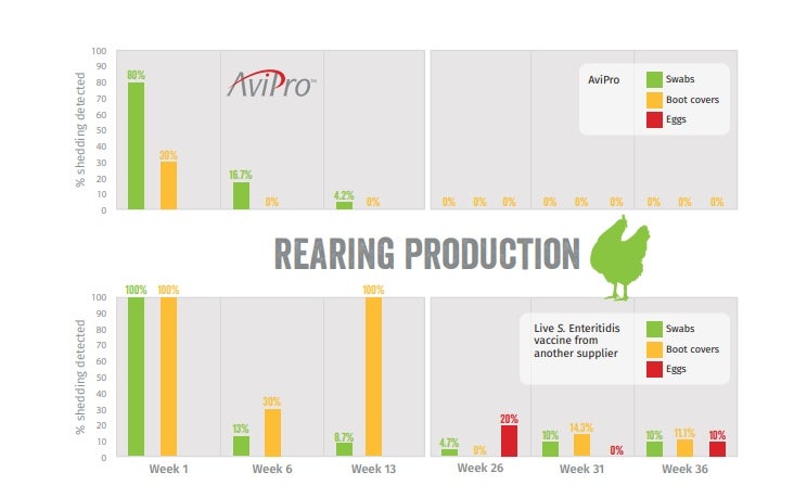 Avipro rearing production
