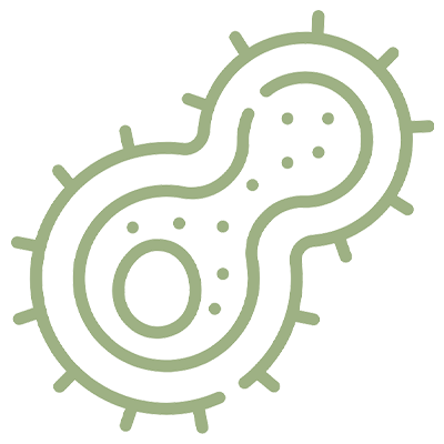 Robust gut microbiome in poultry