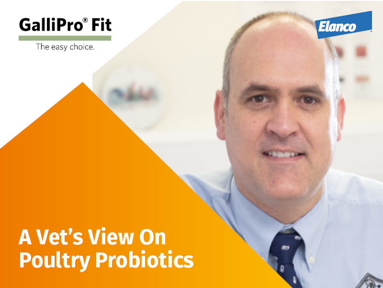 Allan Ball thumbnail