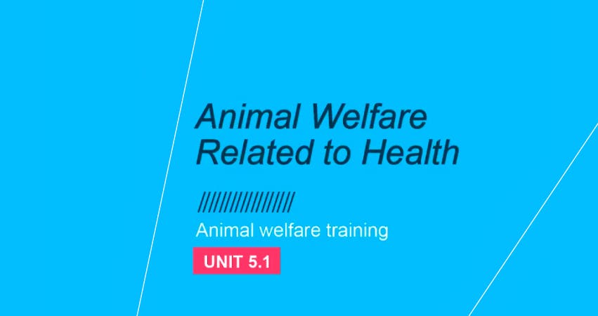 Bem-estar animal e Saúde: Unidade 5.1
