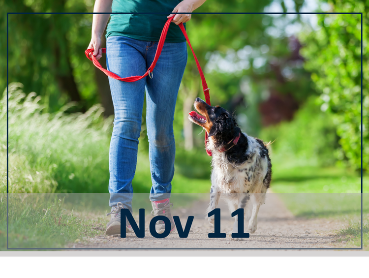 Reducing Pain and Improving Mobility: Environmental Management for OA Patients Nov 11 header image