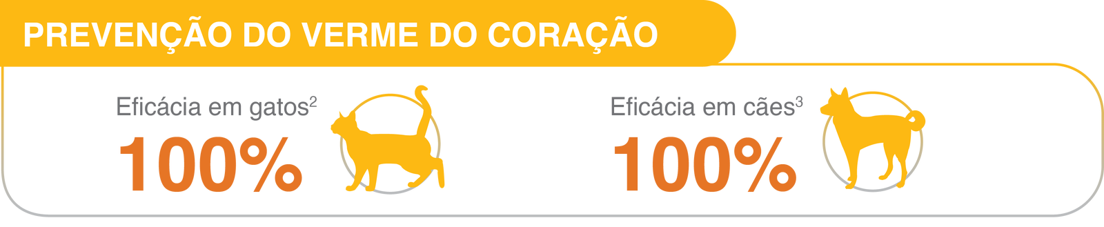 Prevenção do verme do coração
