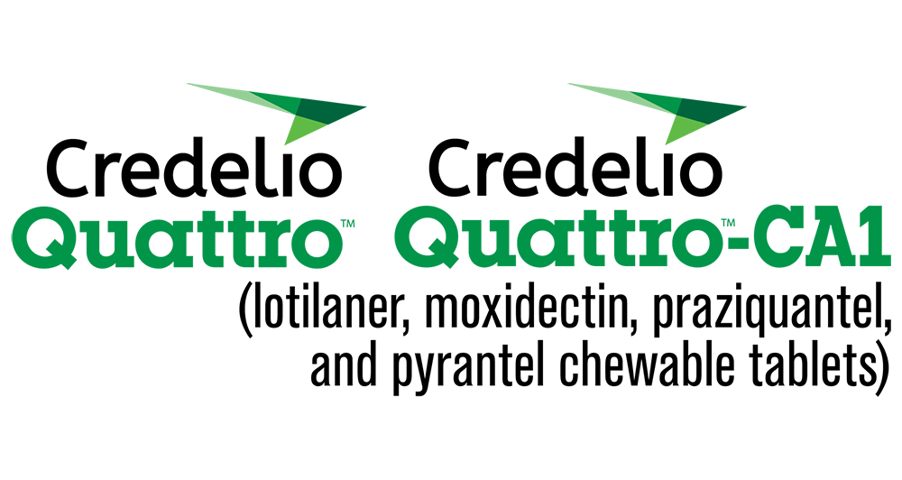 Credelio Quattro and Credelio Quattro-CA1 logo. Includes technical text: lotilaner, moxidectin, praziquantel, and pyrantel chewable tablets.