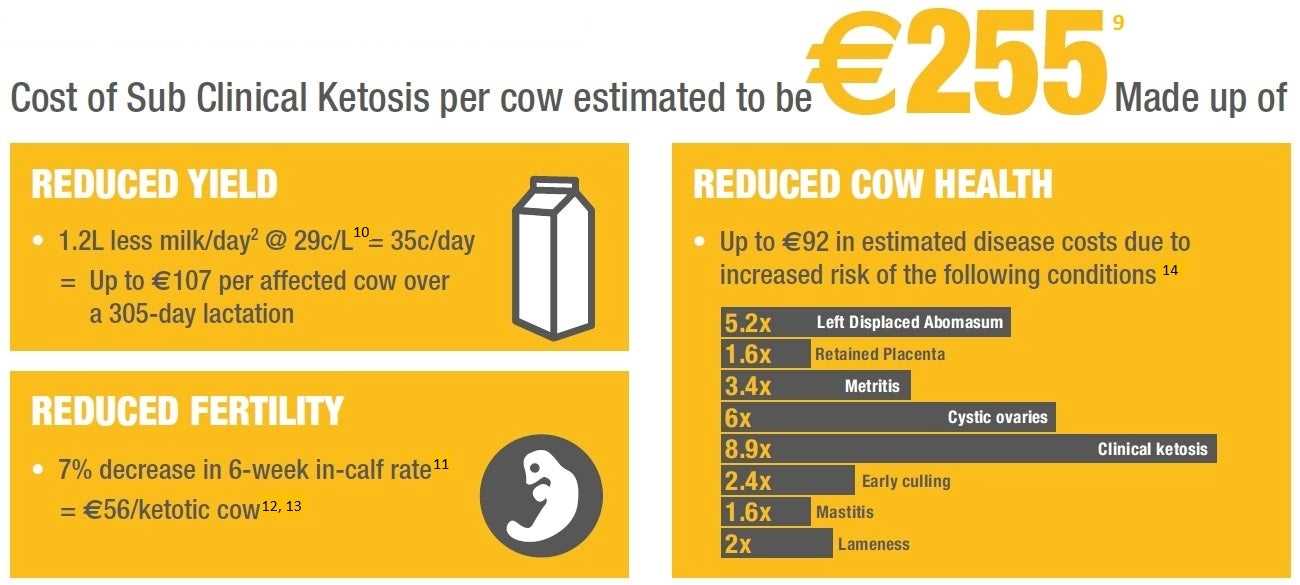 ROI - Cost of Sub Clinical Ketosis Ireland