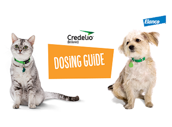 Credelio cat and dog dosing guide (PDF)