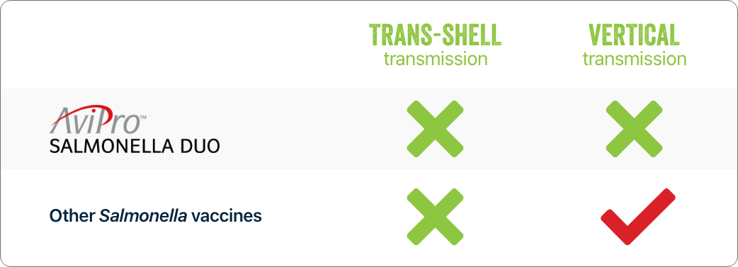 Vaccination Table for In Rear