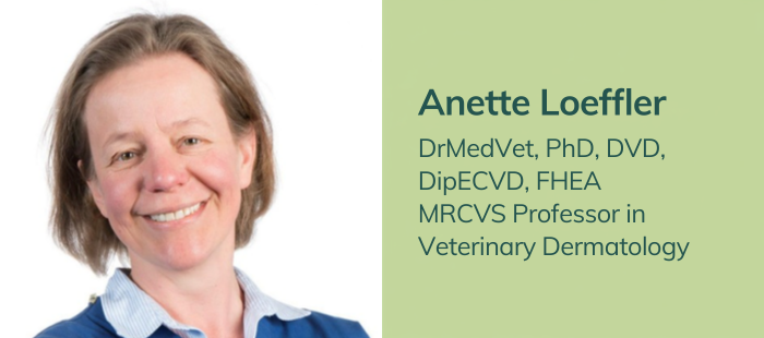 Anette Loeffler DrMedVet PhD DVD DipECVD FHEA MRCVS Professor in Veterinary Dermatology