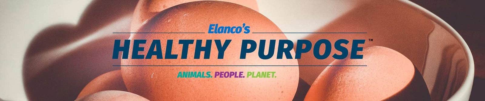 Healthy Purpose header