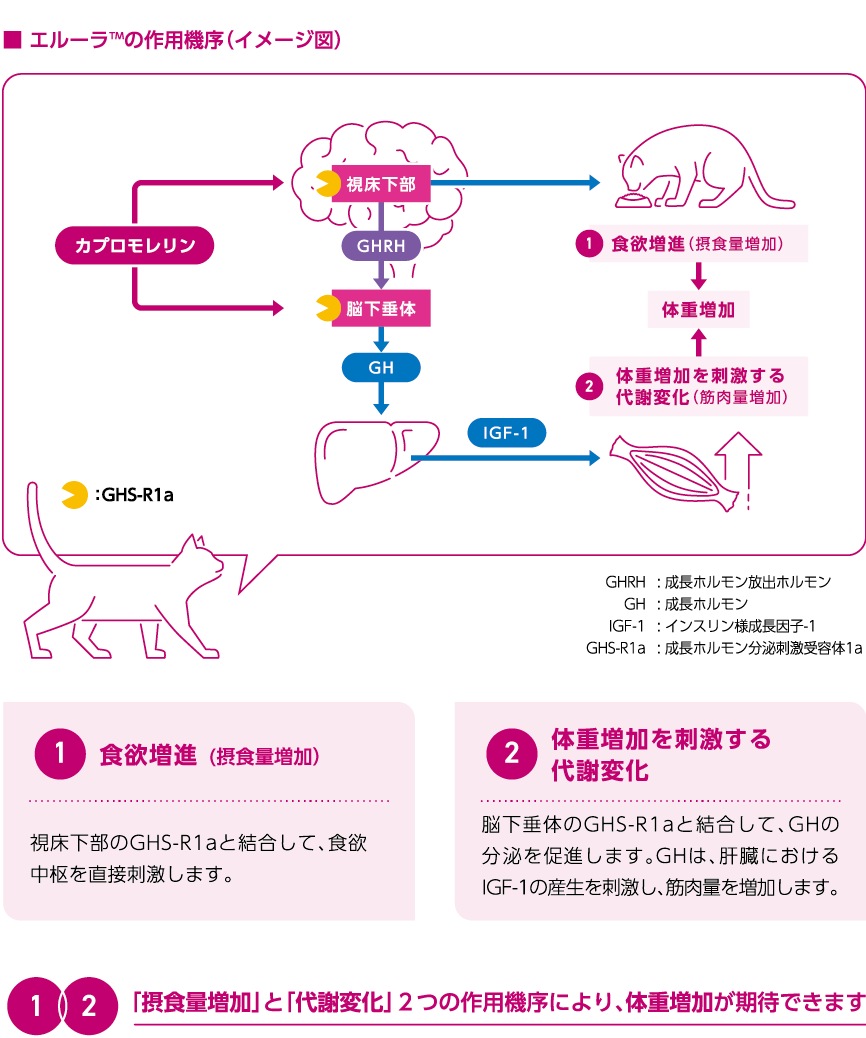 Elanco Japan エルーラ作用機序