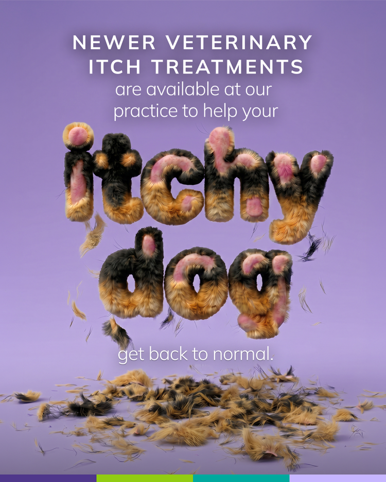 Still itchy social media post