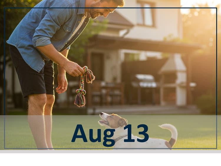 Aug 13 webinar: Navigating the cOAst: Current Consensus on Managing Canine Osteoarthritis
