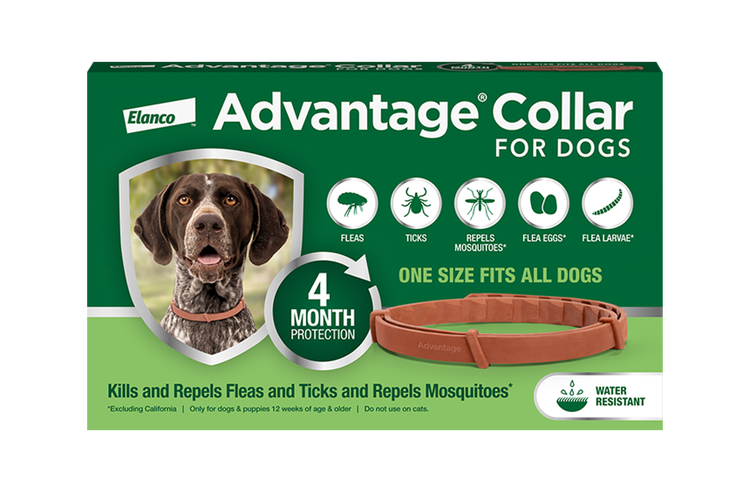 Green rectangular box for the Advantage Collar for dogs. The label features a Pointer dog and emphasizes 4 months of protection against fleas, ticks, and mosquitoes.