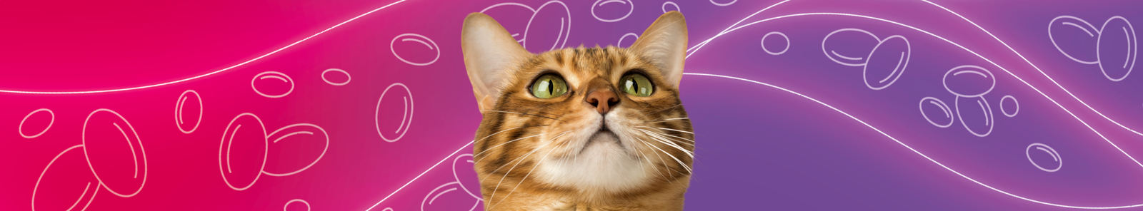 Varenzin banner showing a bengal cat