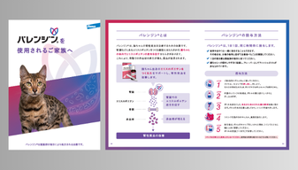 画像「バレンジン®ご家族向け製品リーフレット」