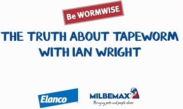 Truth about tapeworm thumbnail