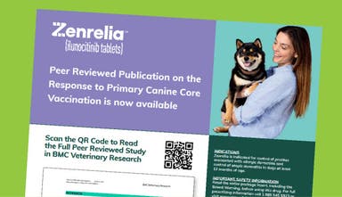 Zenrelia Graph Zenrelia™ (ilunocitinib tablets) Vet Product Information