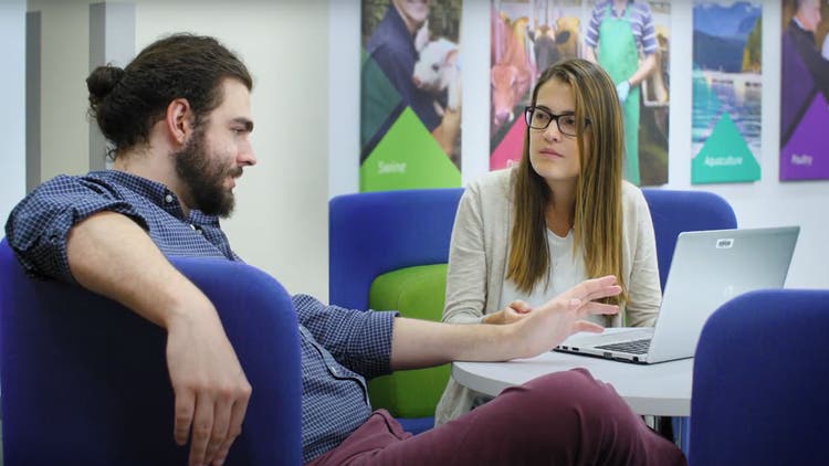 Two people meeting at a computer