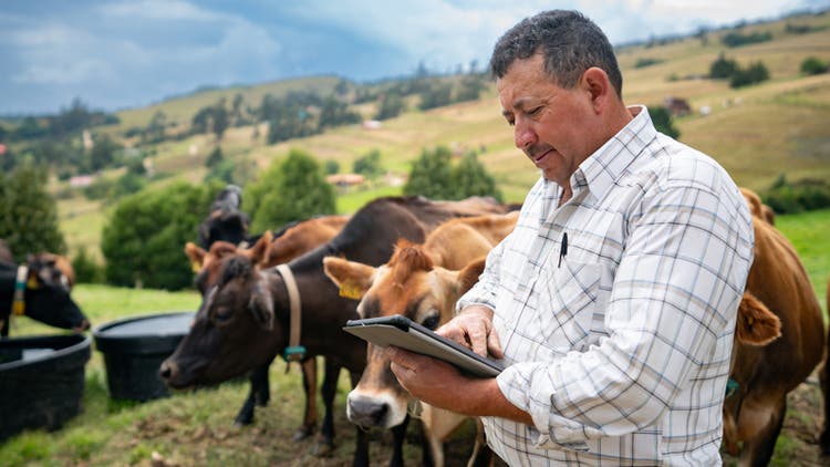 Farmer monitoring data on a tablet