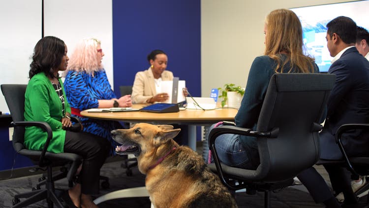 Group of people around a meeting table