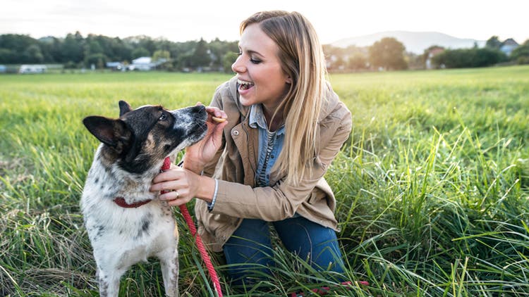Woman feeding dog a treat