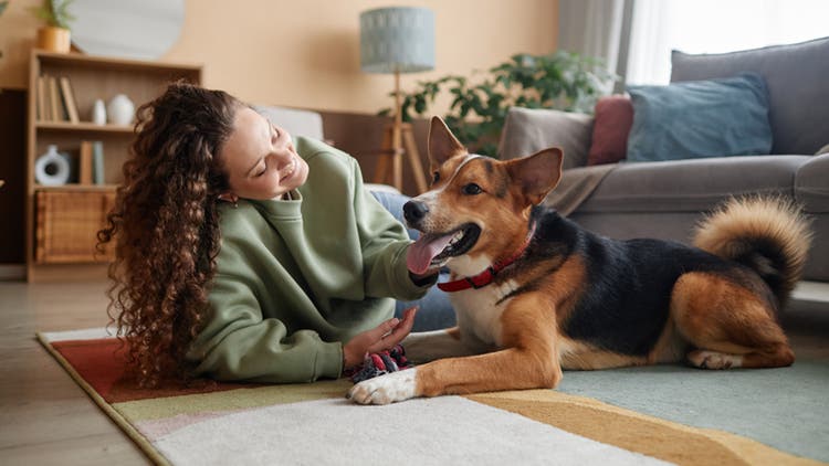Woman and dog playing on floor