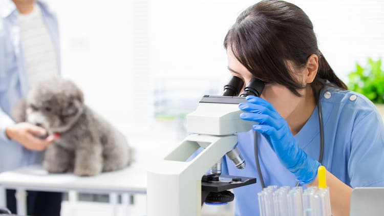 Woman with microscope