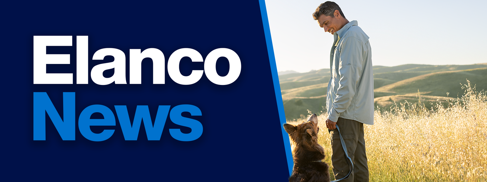 Man in field staring down at dog