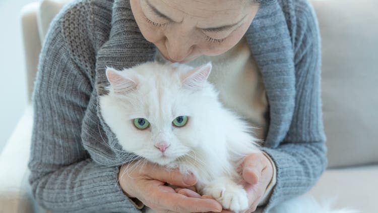 Old woman and cat