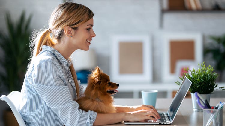 Woman working with dog on her lap