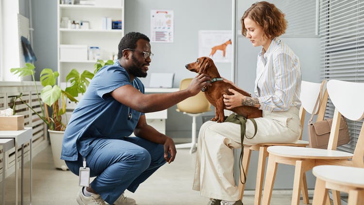 Veterinarian and pet owner in vet clinic