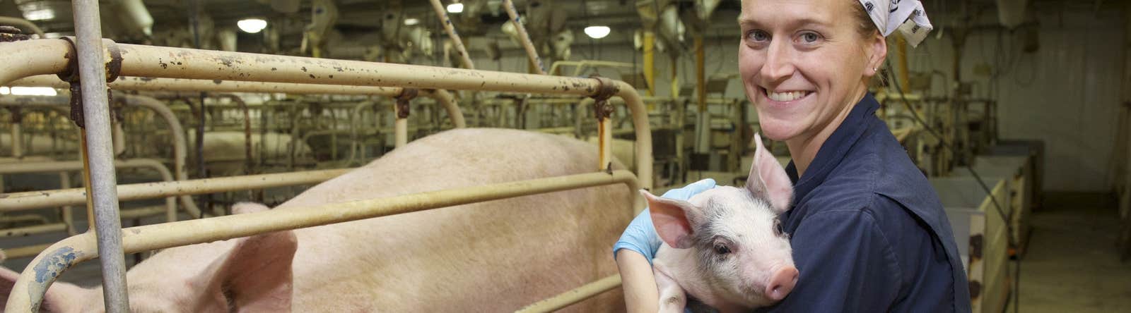 Farmer holding piglet