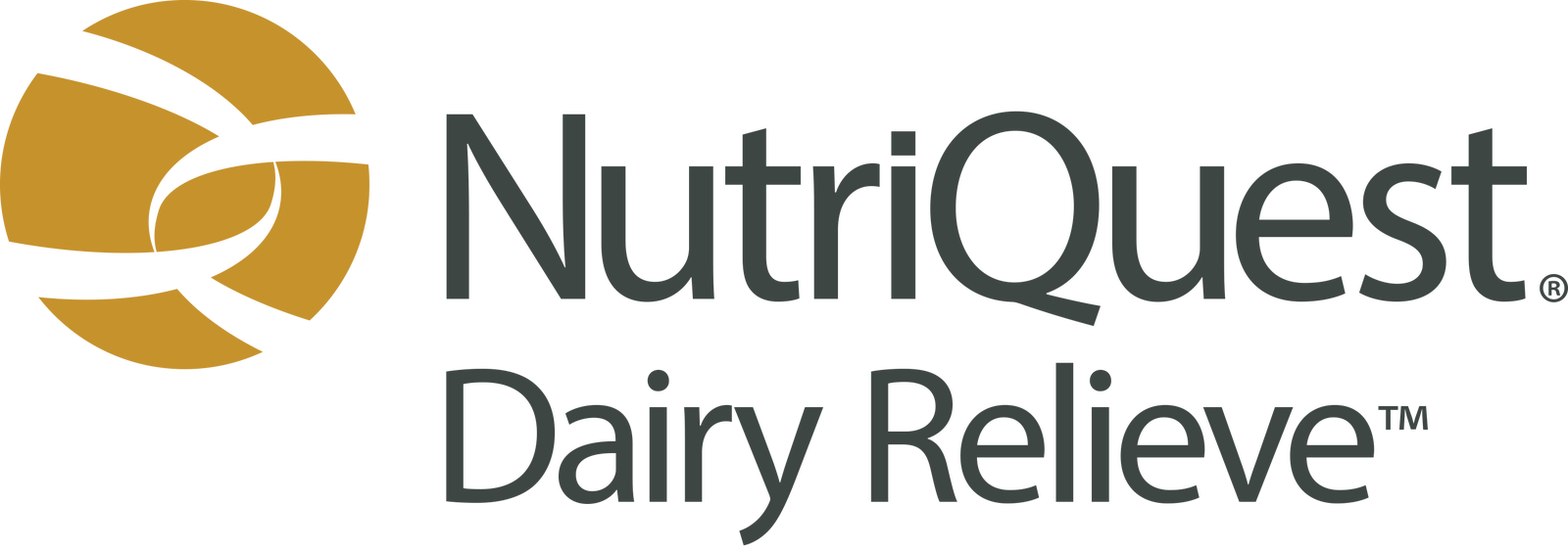 Dairy Relieve logo