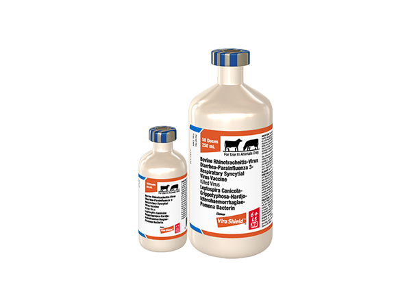 Two frosted glass bottles of Elanco Vira Shield vaccine in varying sizes, featuring white labels with orange and blue accents and blue caps.
