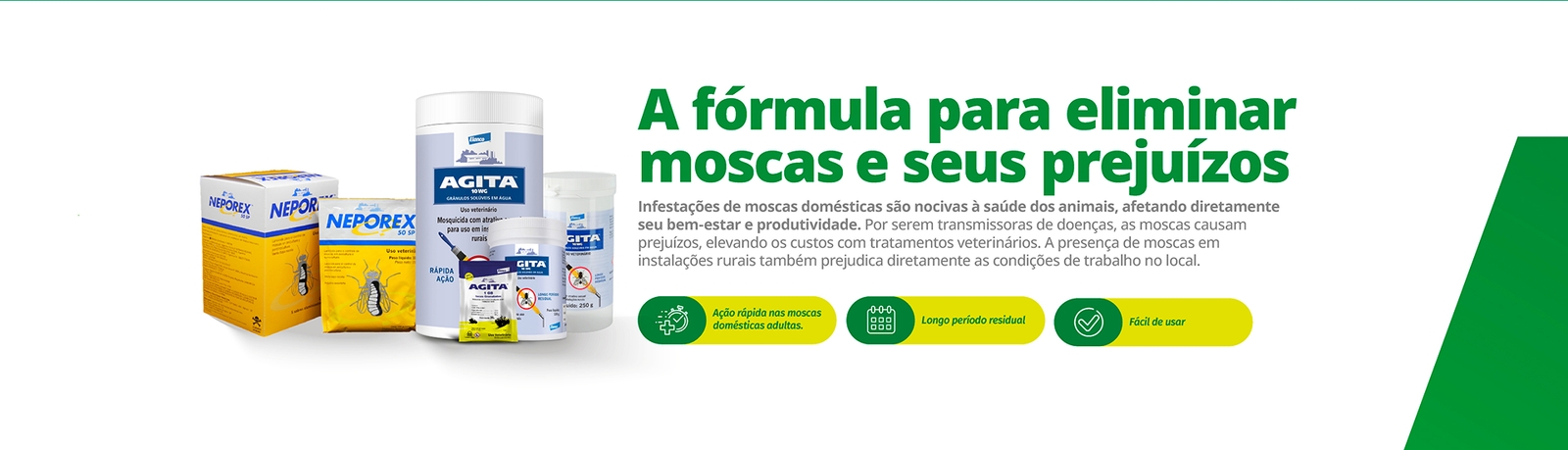 A fórmula para eliminar moscas