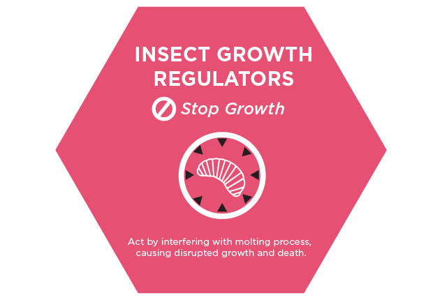 Chart showing insecticide class and insect growth regulators mode of action