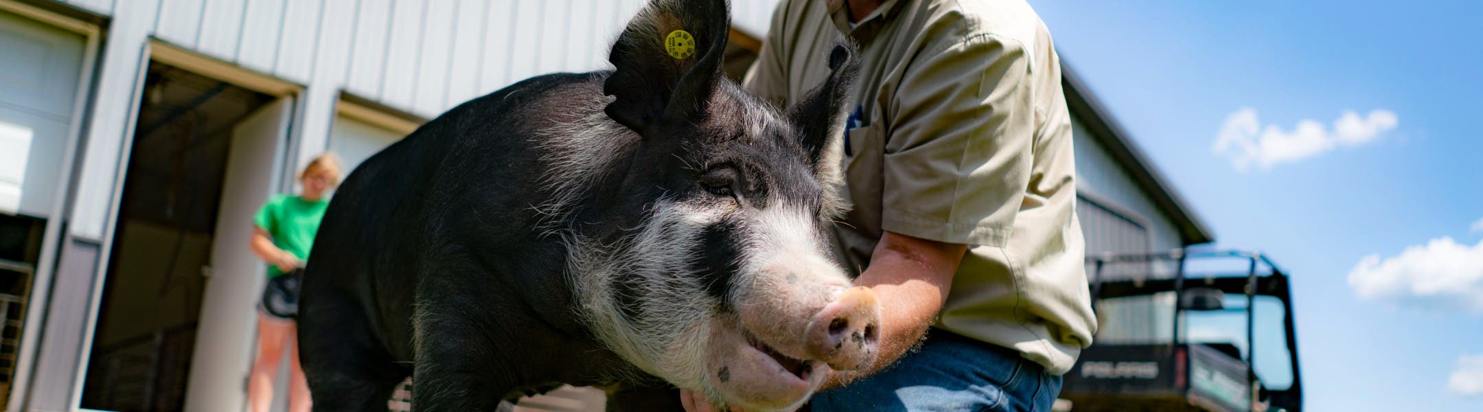 Farmer with a pig
