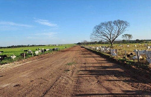 Imagem de estrada com pasto ao lado em um dia ensolarado