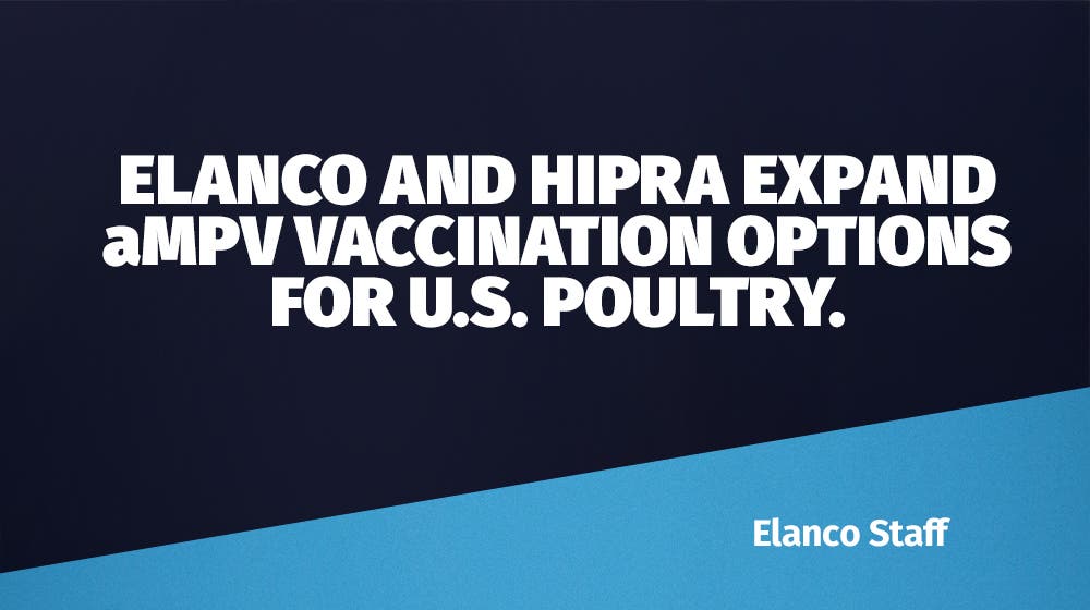 Elanco and HIPRA expand aMPV vaccination options for U.S. poultry.