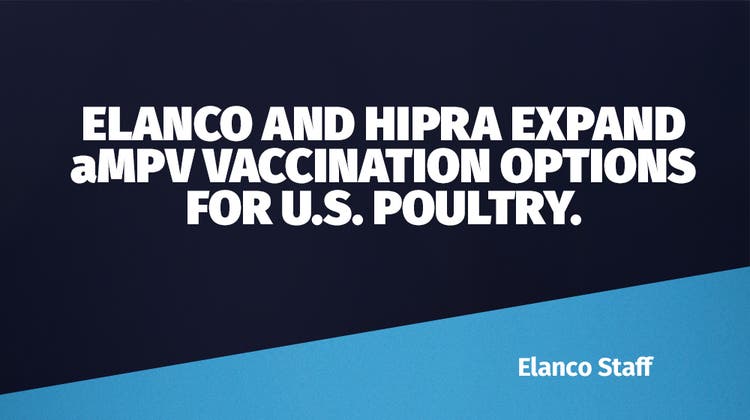 Elanco and HIPRA expand aMPV vaccination options for U.S. poultry.