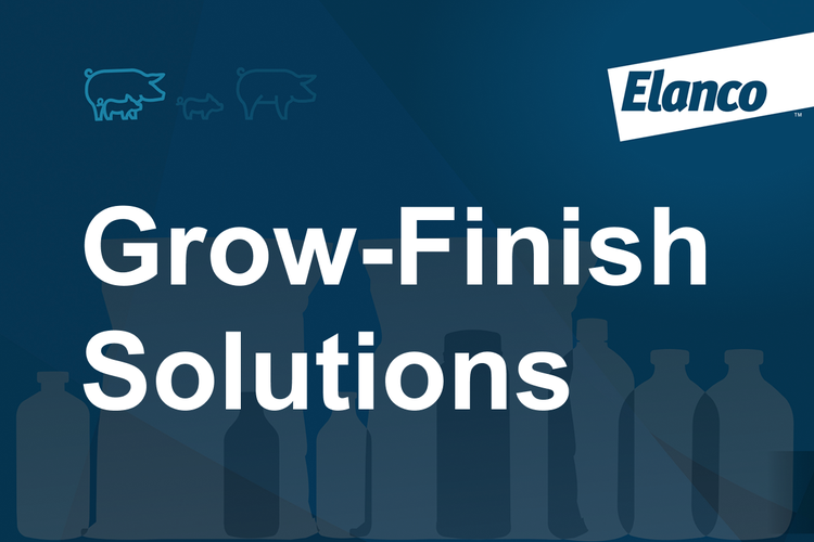 Grow Finish Solutions Card Image
