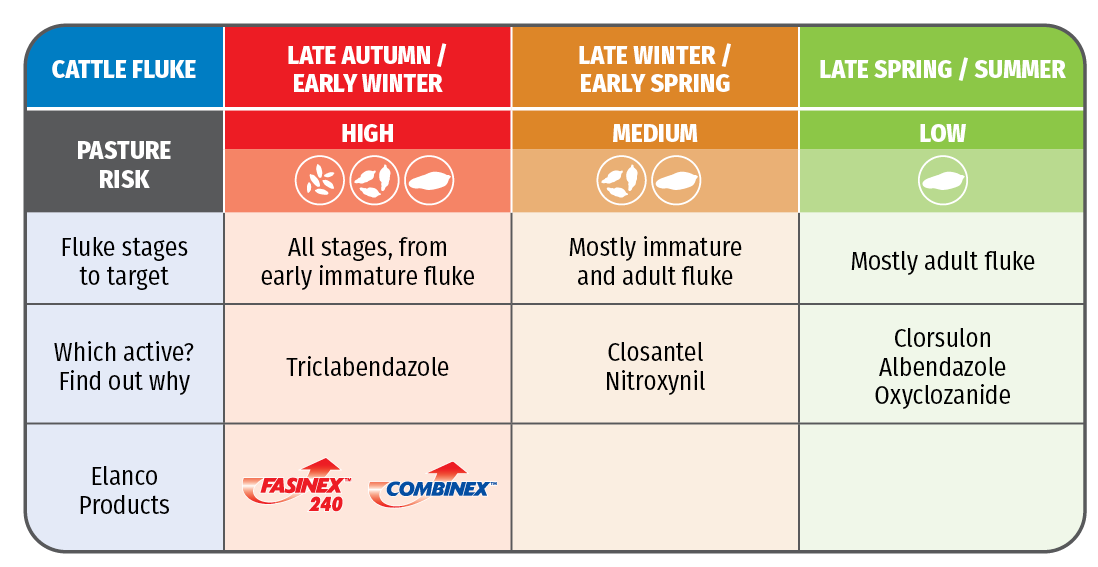 Cattle liver fluke treatment table