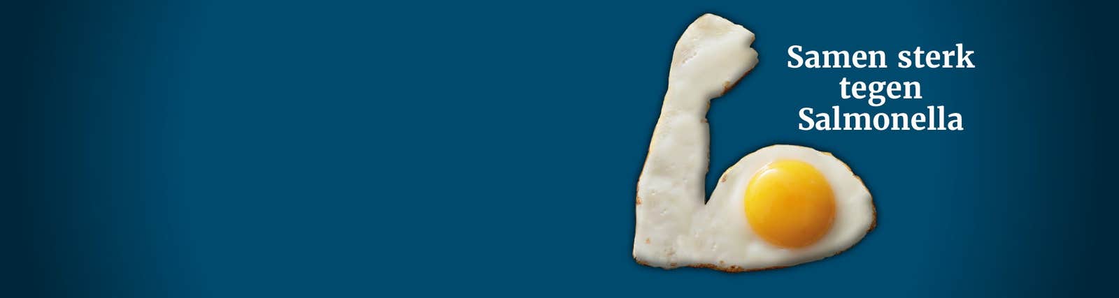 Header image Samen Sterk tegen Salmonella