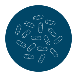 Pasteurella multocida Icon