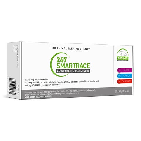 24·7 Smartrace™ Adult Sheep Boluses | Elanco Australia